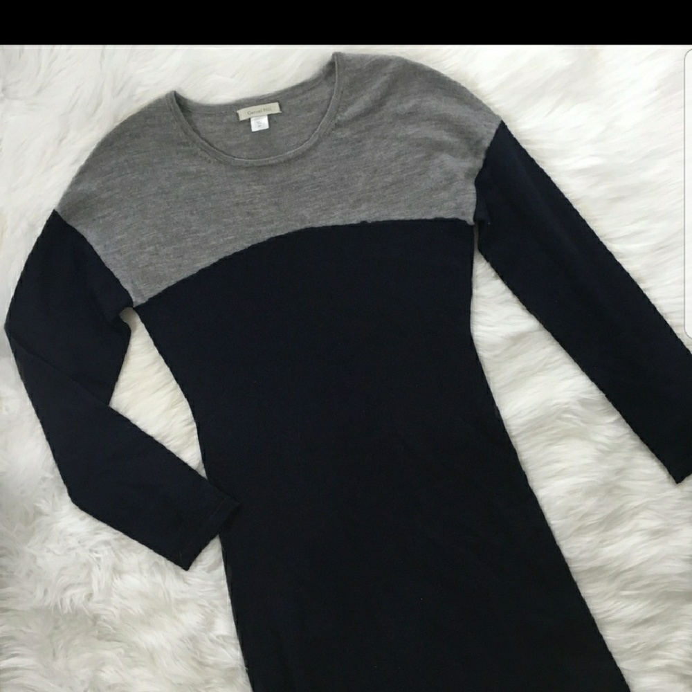 Garnet Hill Merino Wool Blue and gray dress